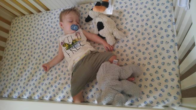 14012831_10154404890569235_1067527393_o